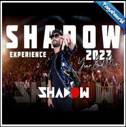 Year End Party Mix 2023 - Dj Shadow Experience