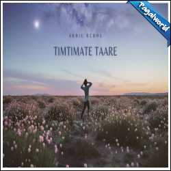 Timtimate Taare
