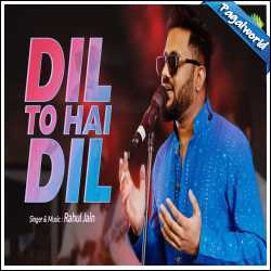 Dil To Hai Dil