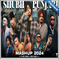 Shubh X Punjabi Mashup 2024 - Sunny Hassan