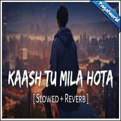Kaash Tu Mila Hota (Slowed Reverb)