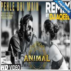 Pehle Bhi Main Remix - DJ Aqeel