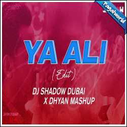 Ya Ali Mashup - DJ Shadow Dubai x Dhyan Mashup
