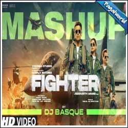 Fighter Mashup - DJ Basque
