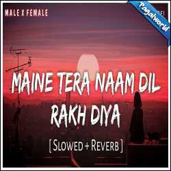 Maine Tera Naam Dil Rakh Diya (Slowed Reverb)