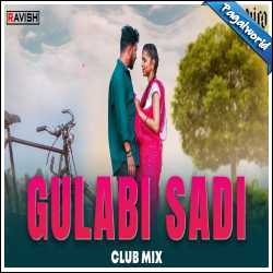 Gulabi Sadi Remix - DJ Ravish, DJ Chico