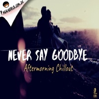 Never Say Goodbye - Aftermorning Chillout Mashup