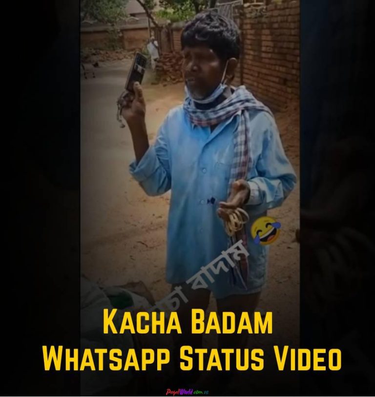 Kacha Badam WhatsappStatus Video