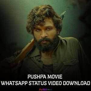 pushpa-movie-status-video-download
