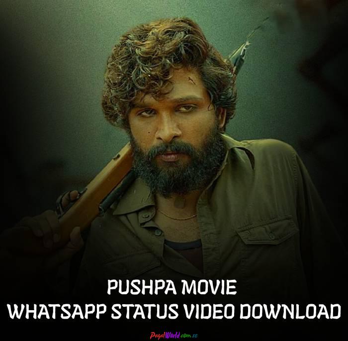 pushpa-movie-status-video-download