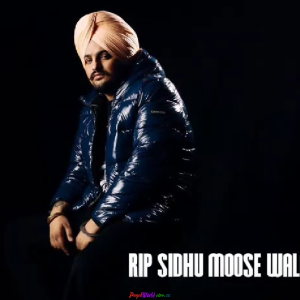 Sidhu Moose Wala Death Status Video Download | Sad Status
