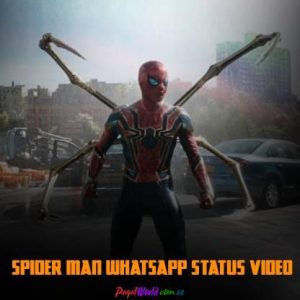 Spider Man Status Video Download