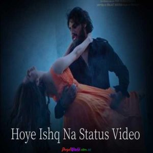 Hoye Ishq Na Whatsapp Status Video Download